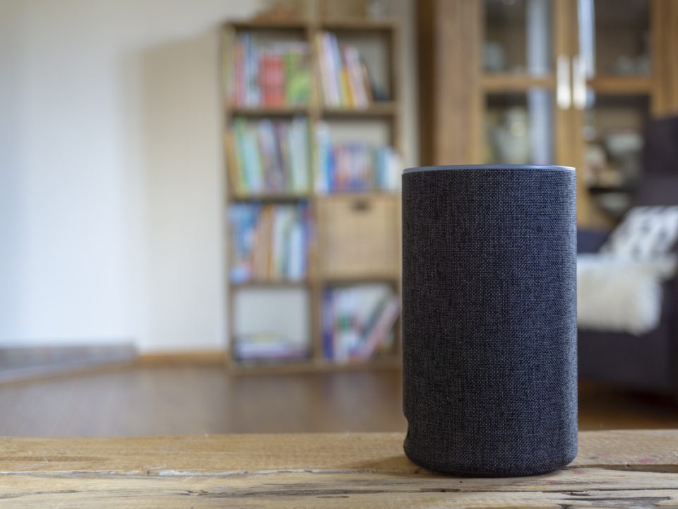 Smart speaker security